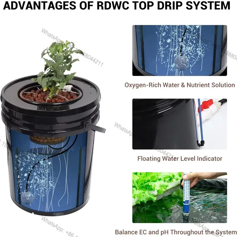 Hydroponic Kit - Yüksek Talep Gören RDWC Besleme Sistemi,