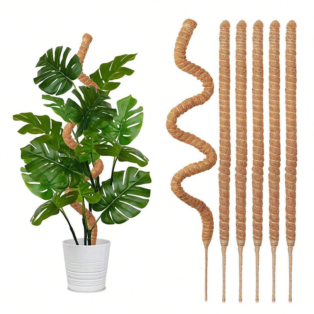 Indoor Herb Garden - Monstera Bitkisi için Yosunlu Destek Çubukları,