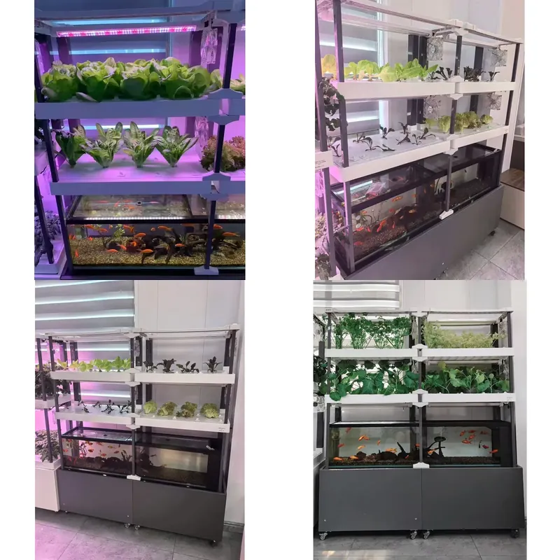 Hydroponic Kit - Seeda Hidroponik Sistem, Çevre Dostu Akvaponik