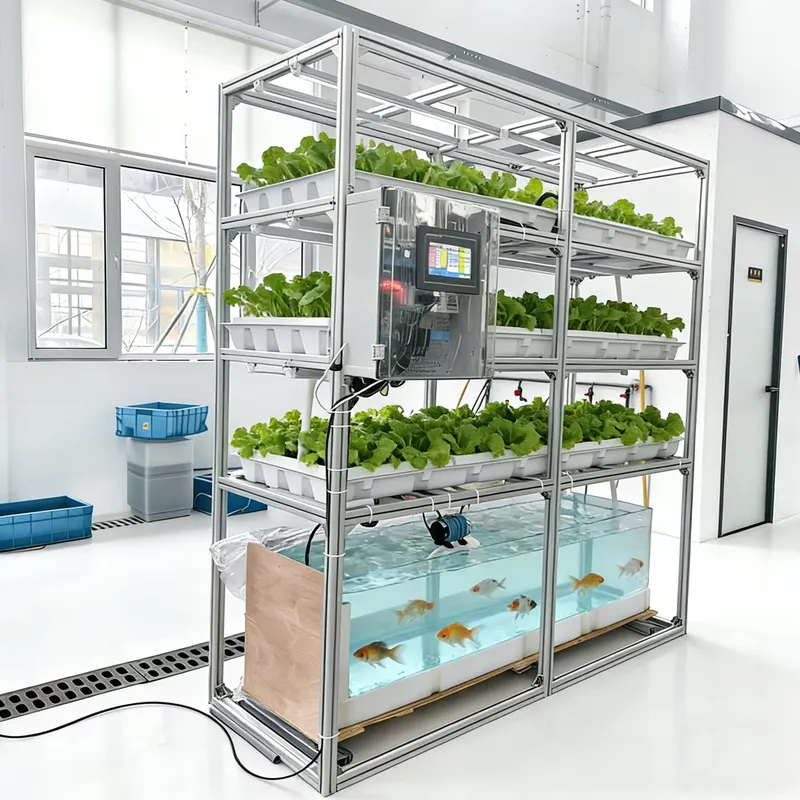 Hydroponic Kit - Balık Tankları ve İç Mekan Sebze