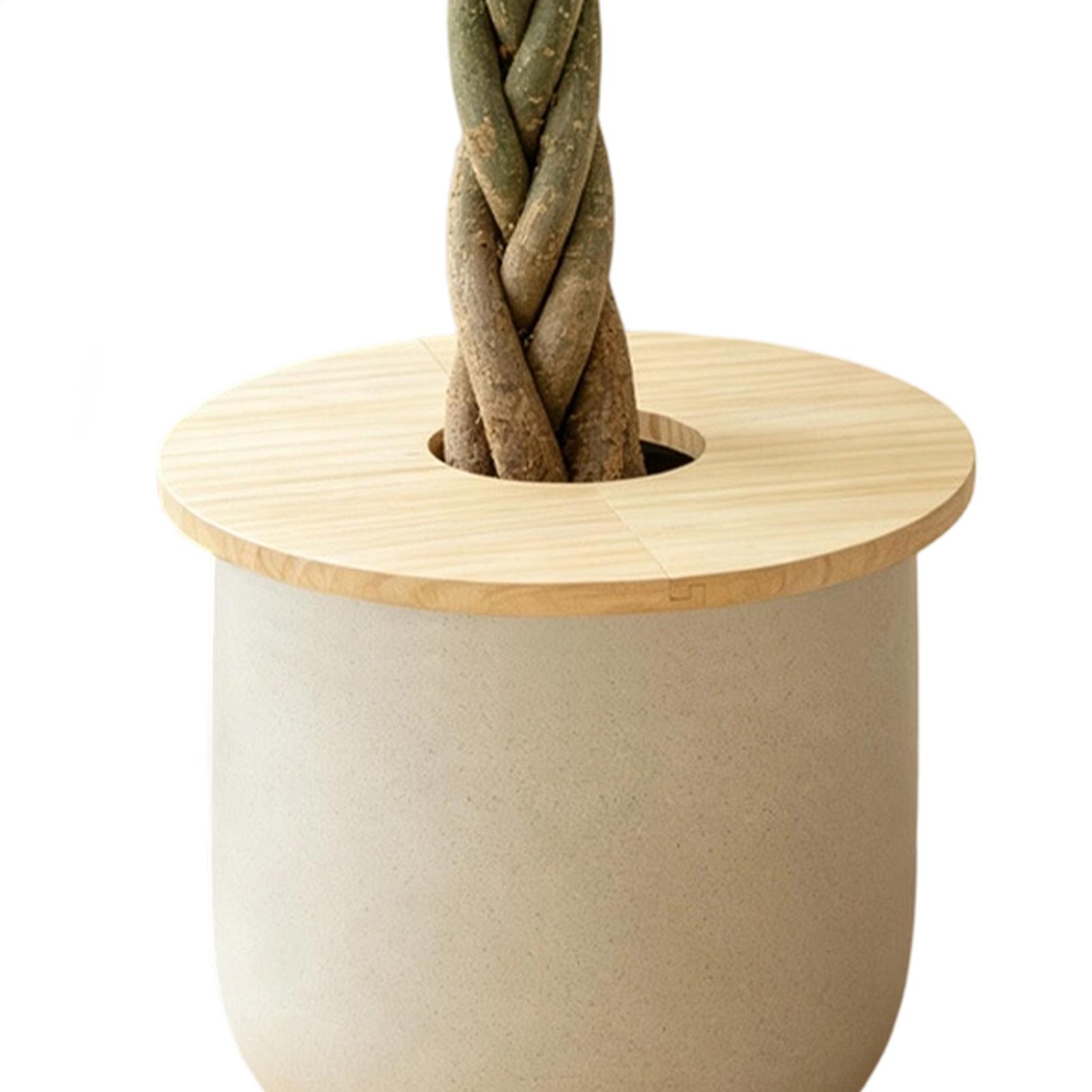 Çiçek Saksısı Kılıfları Ahşap  - Indoor Herb Garden incelemesi ve fiyatı