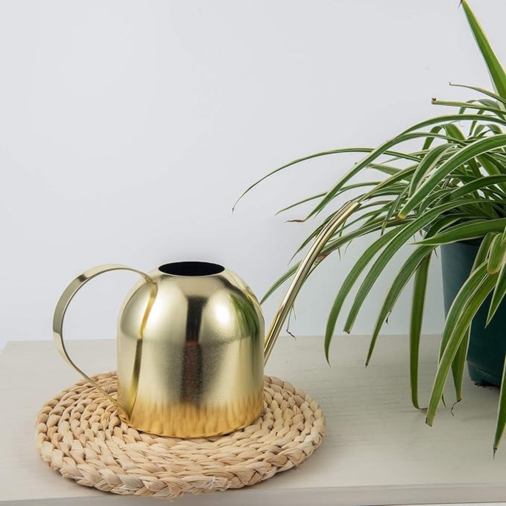 Pirinç Sulama Kabı, İç Mekan B - Watering Can incelemesi ve fiyatı