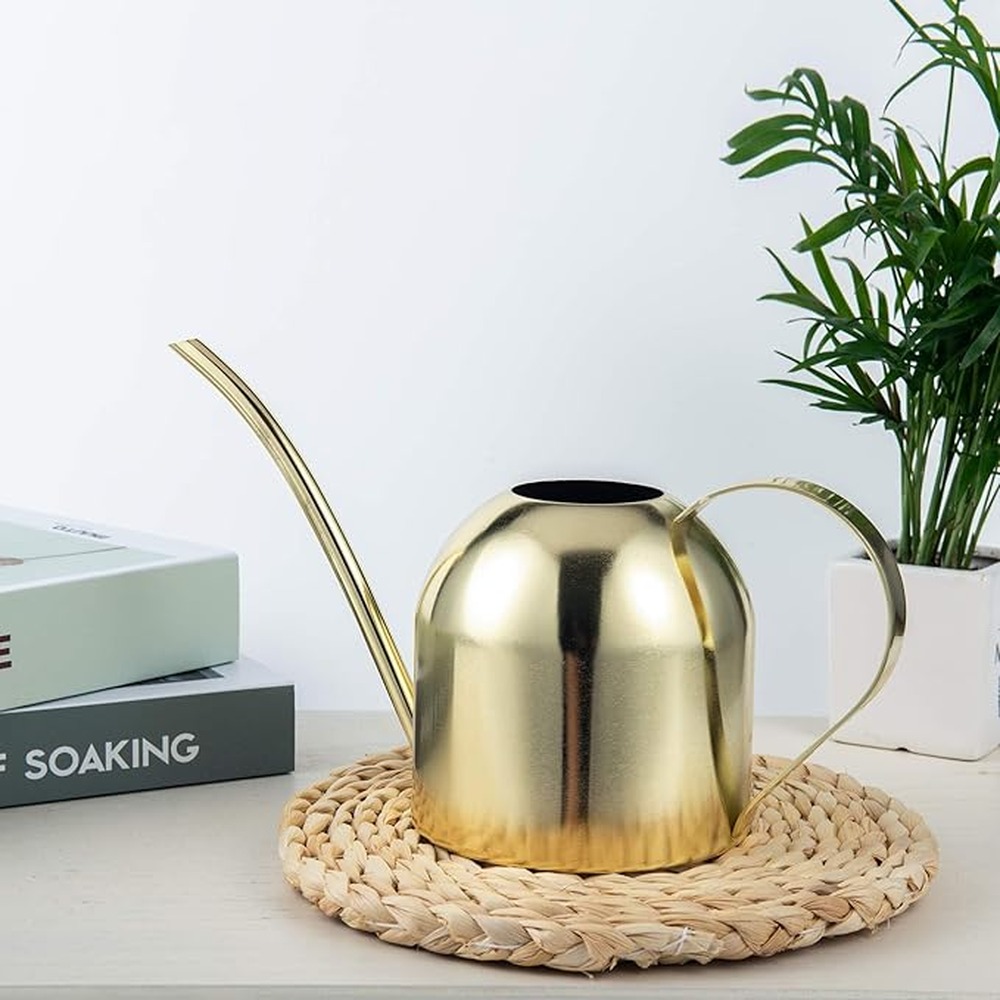 Pirinç Sulama Kabı, İç Mekan B - Watering Can incelemesi ve fiyatı