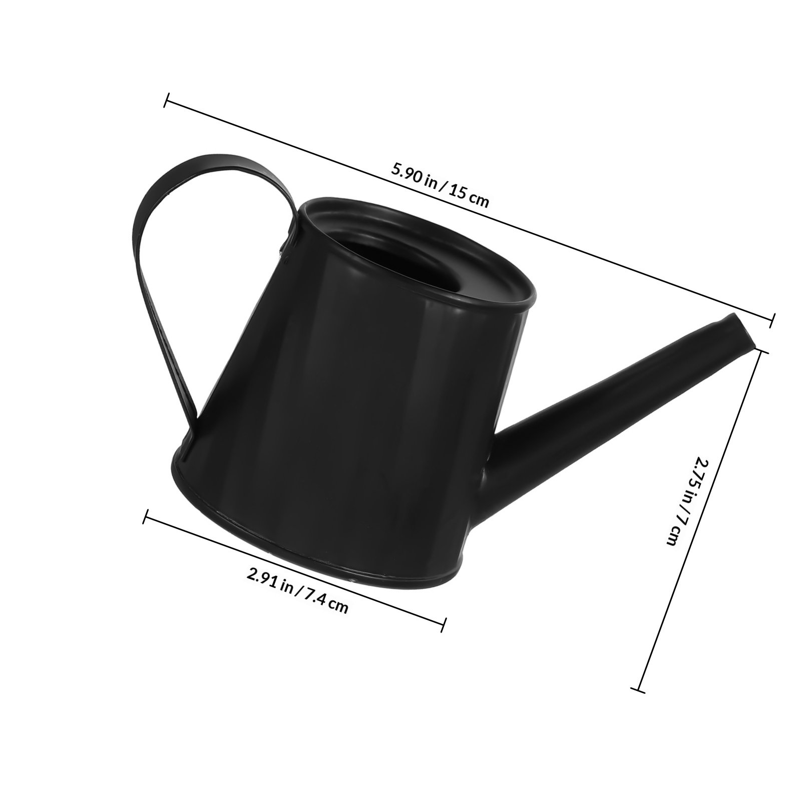 Sukulentler ve İç Mekan Bitkil - Watering Can incelemesi ve fiyatı
