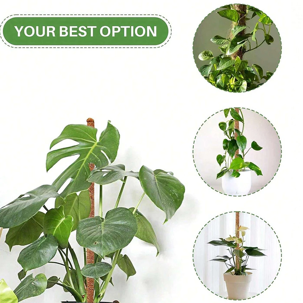 Monstera Bitkisi için Yosunlu  - Indoor Herb Garden incelemesi ve fiyatı