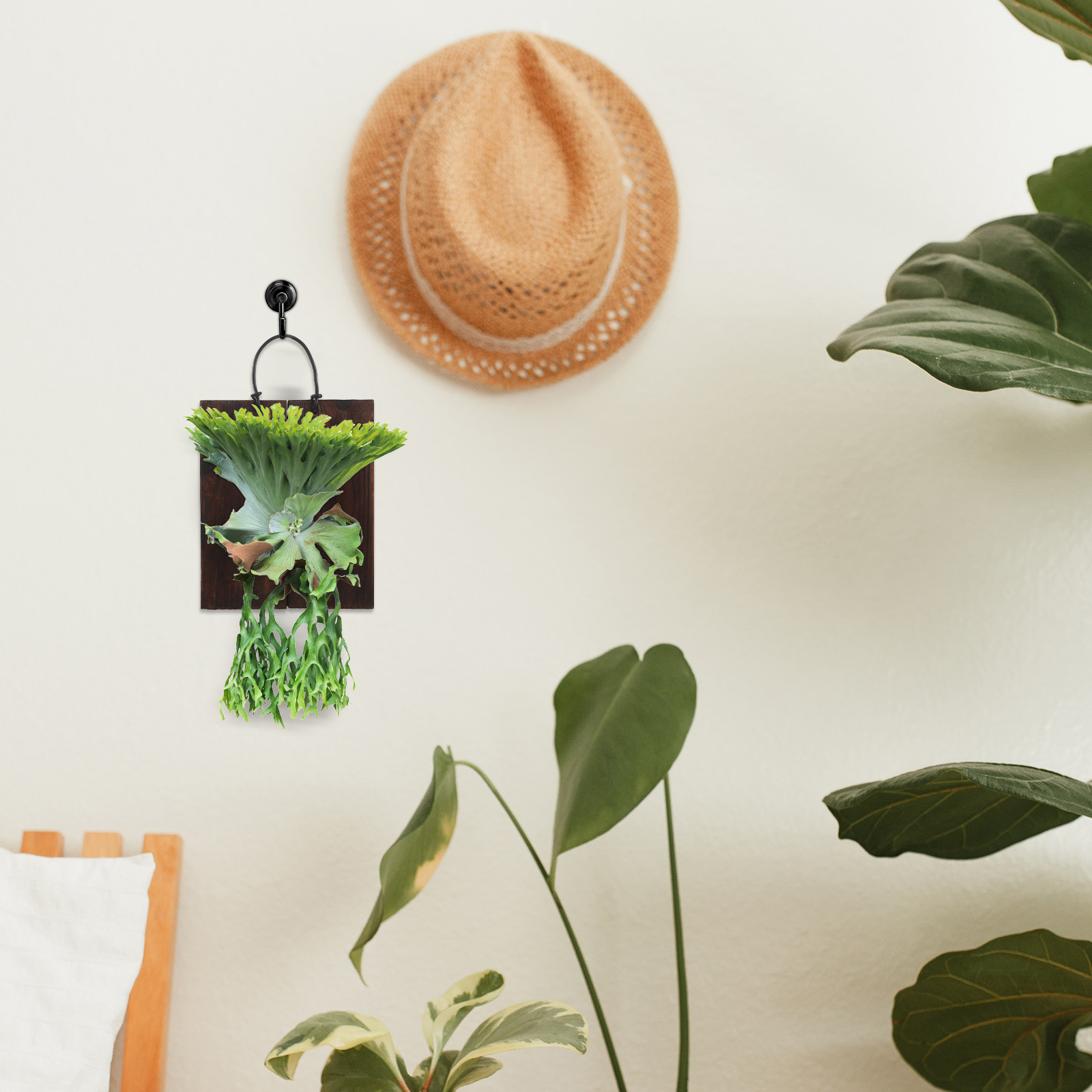 Geyik Boynuzu Feneri Asma Pano - Vertical Planter incelemesi ve fiyatı