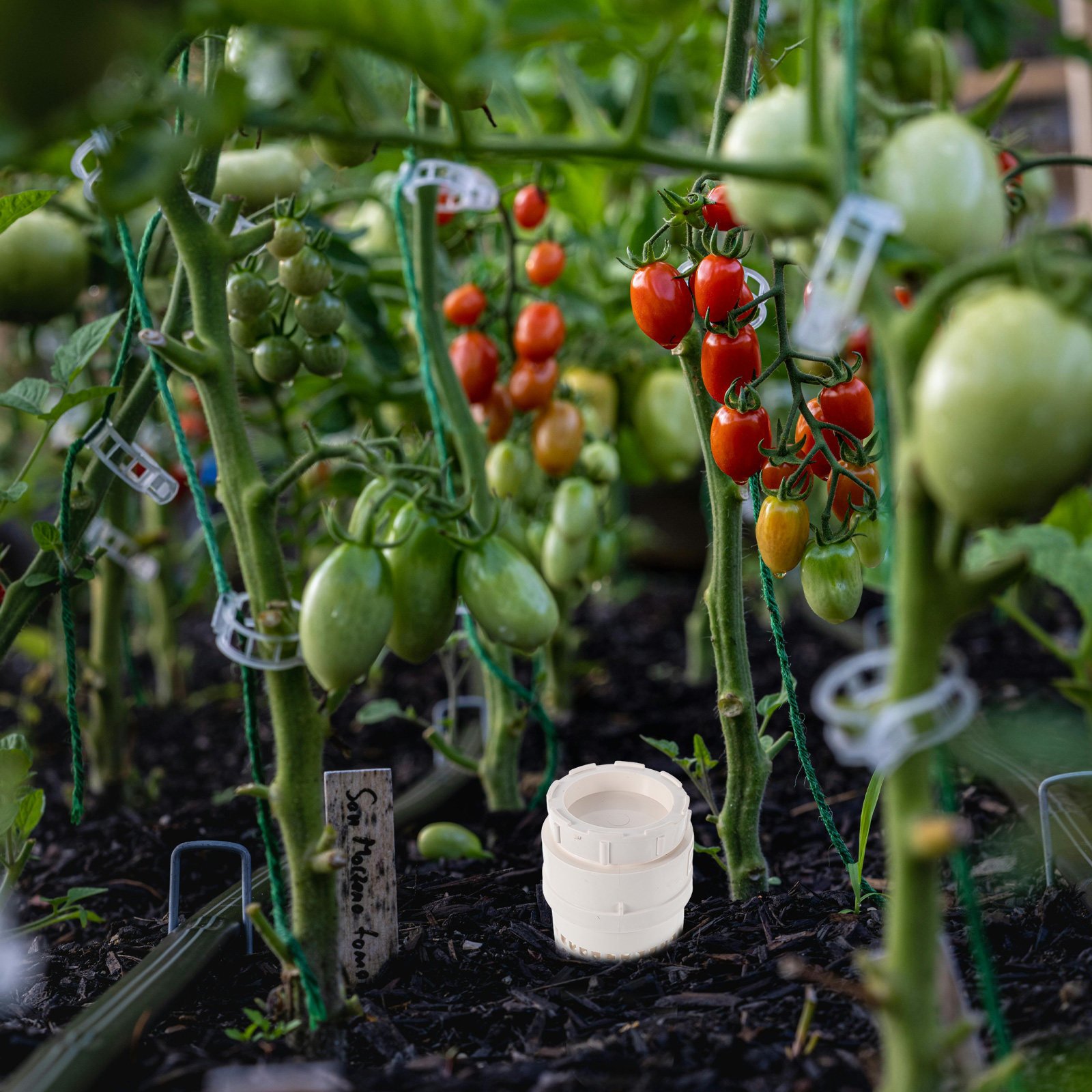 Yer Altı Tipi, Plastik, Kurutu - Compost Bin incelemesi ve fiyatı