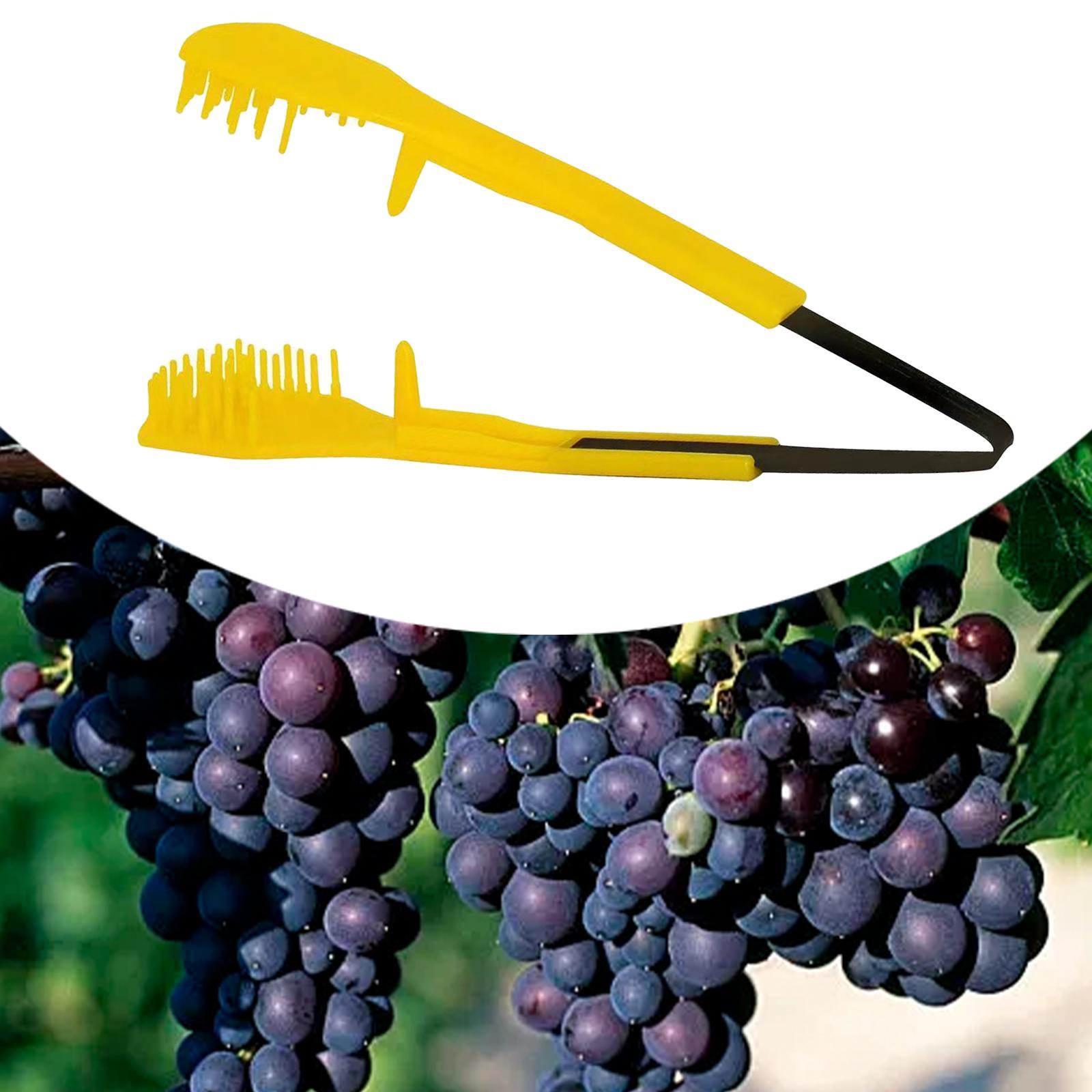 Standart Budama Makası, Kompak - Pruning Shears incelemesi ve fiyatı