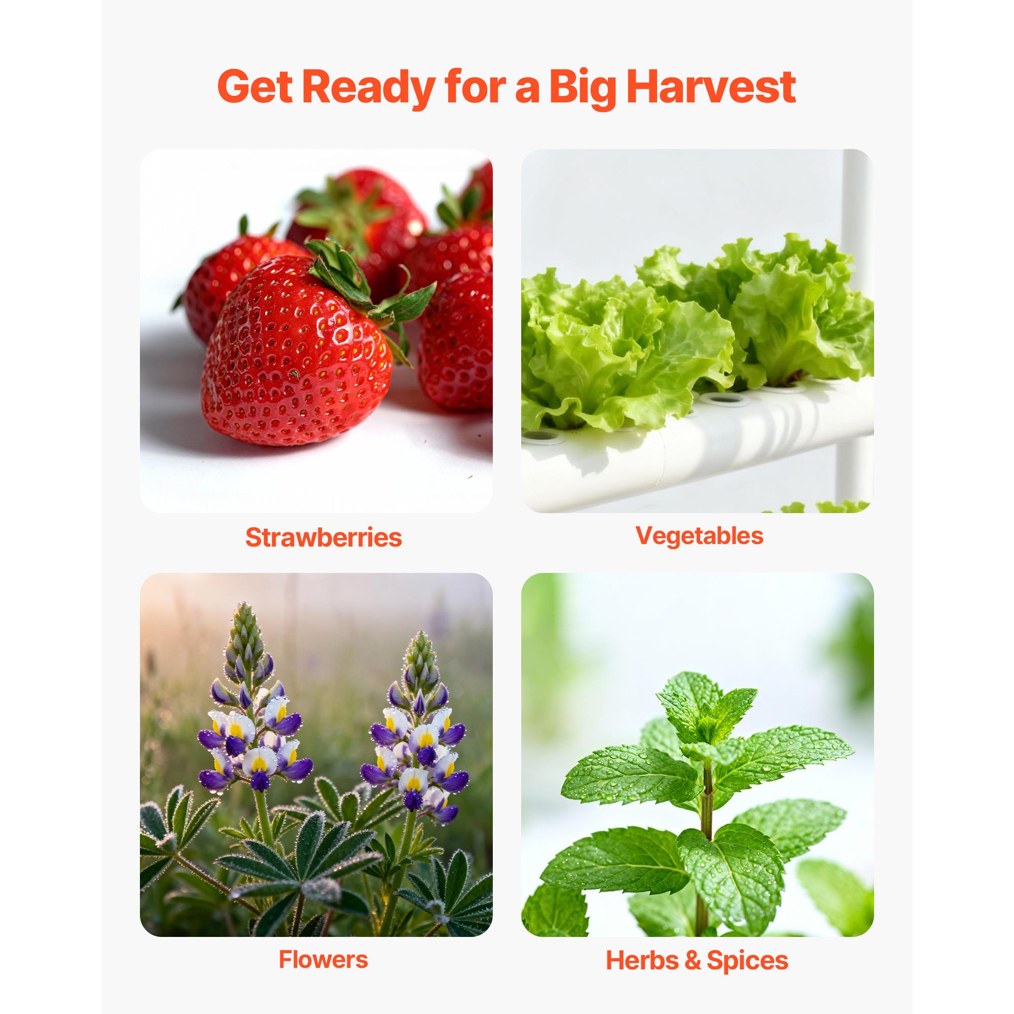 3 Katlı, 90 Adet Bitki Yetişti - Hydroponic Kit incelemesi ve fiyatı