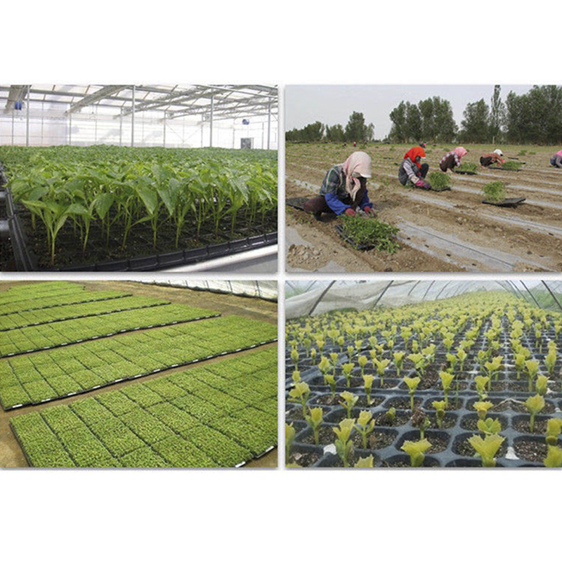 200 hücreleri fide büyüyen kıl - Seed Starter Tray incelemesi ve fiyatı