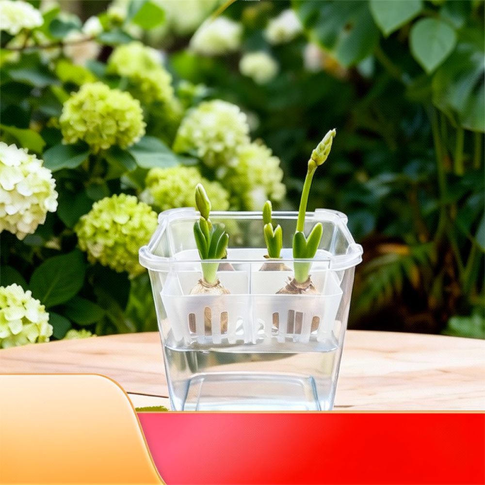 Lale ve Zambak Bulunduğunda Ku - Plant Pot incelemesi ve fiyatı