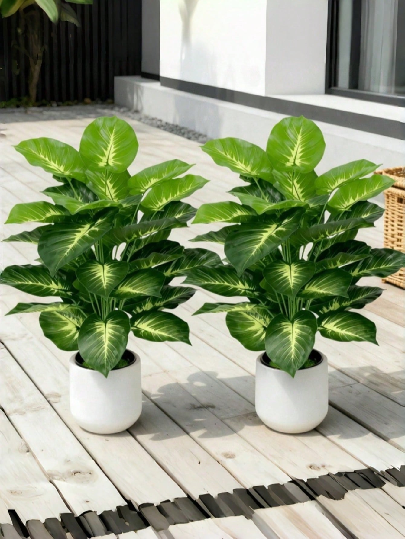 Büyük Yapay Para Ağacı, Saksıl - Indoor Herb Garden incelemesi ve fiyatı
