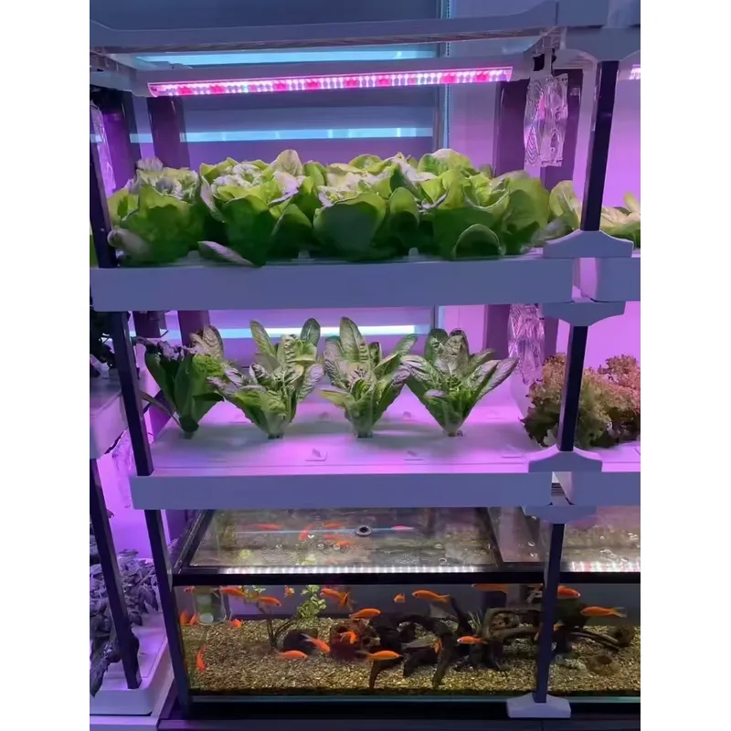 Seeda Hidroponik Sistem, Çevre - Hydroponic Kit incelemesi ve fiyatı