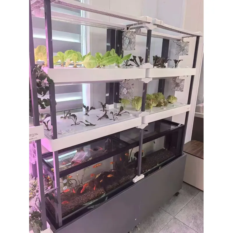 Seeda Hidroponik Sistem, Çevre - Hydroponic Kit incelemesi ve fiyatı