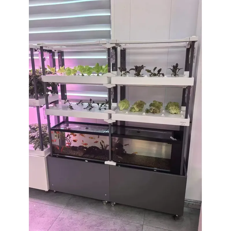 Seeda Hidroponik Sistem, Çevre - Hydroponic Kit incelemesi ve fiyatı