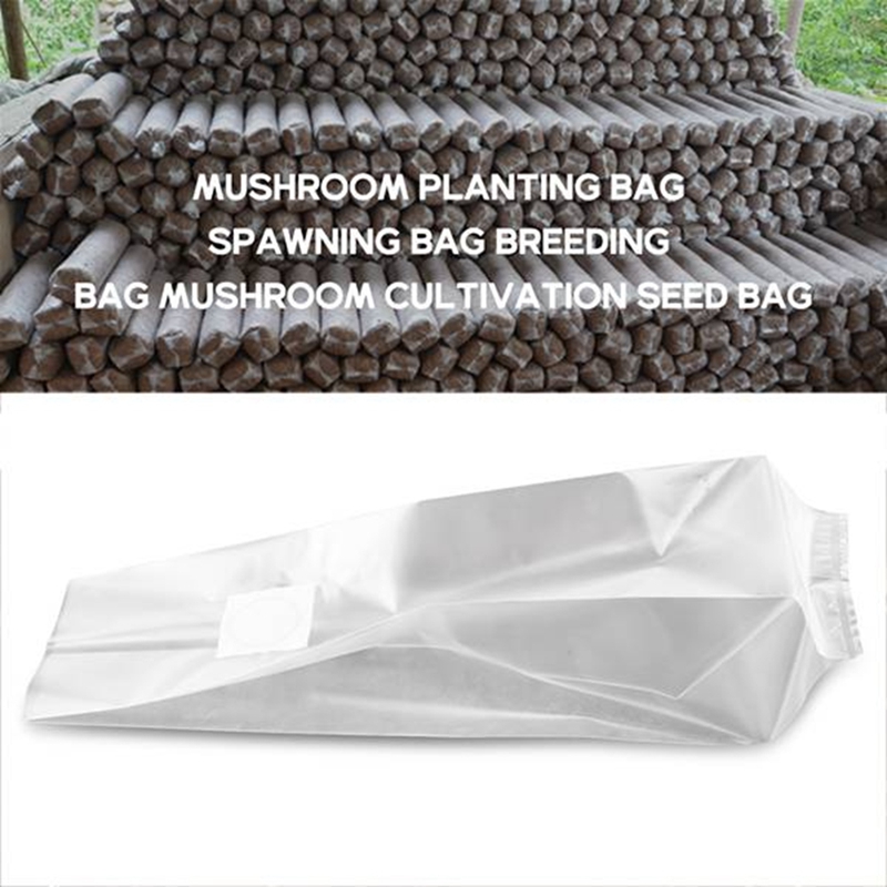 50'li Mantar Yetiştirme Torbal - Grow Bag incelemesi ve fiyatı