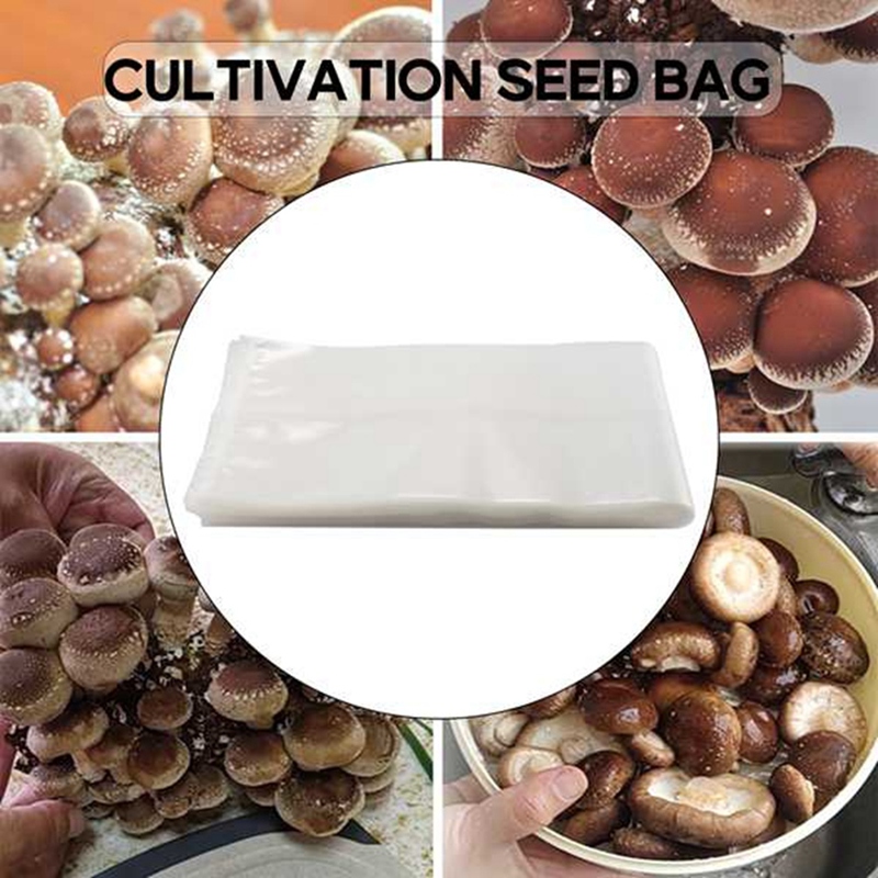50'li Mantar Yetiştirme Torbal - Grow Bag incelemesi ve fiyatı