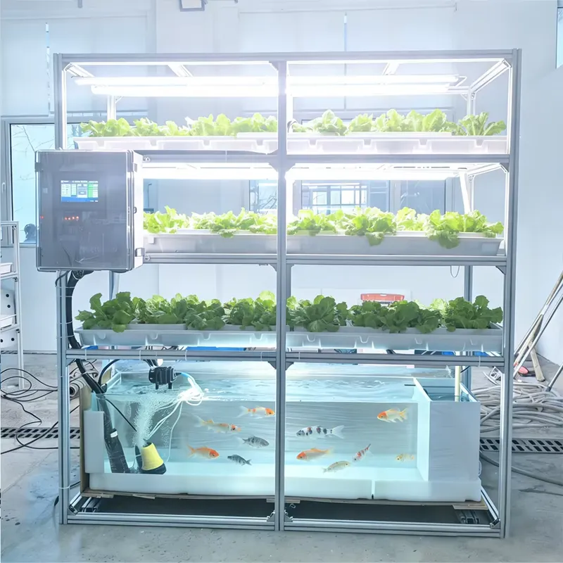 Balık Tankları ve İç Mekan Seb - Hydroponic Kit incelemesi ve fiyatı