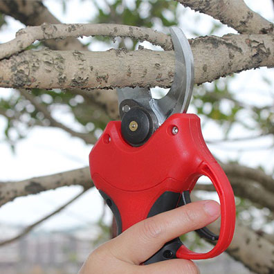 25-40mm Kesim Çaplı Meyve Bahç - Pruning Shears incelemesi ve fiyatı