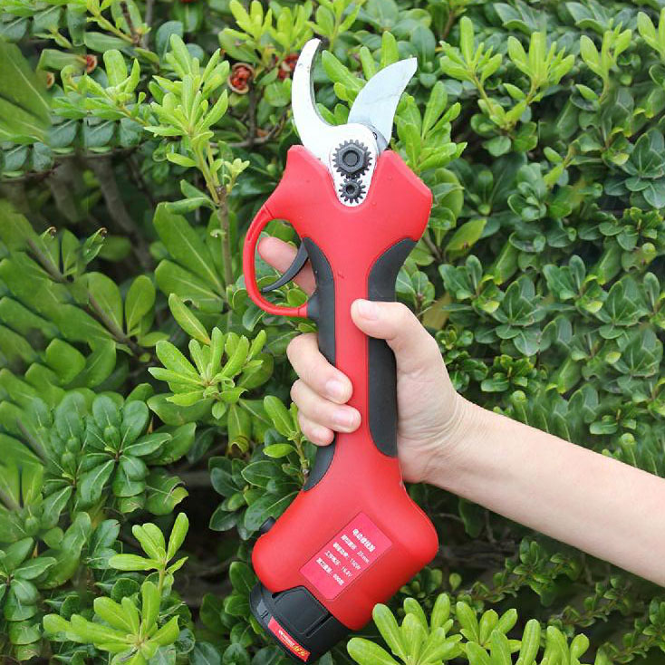 25-40mm Kesim Çaplı Meyve Bahç - Pruning Shears incelemesi ve fiyatı
