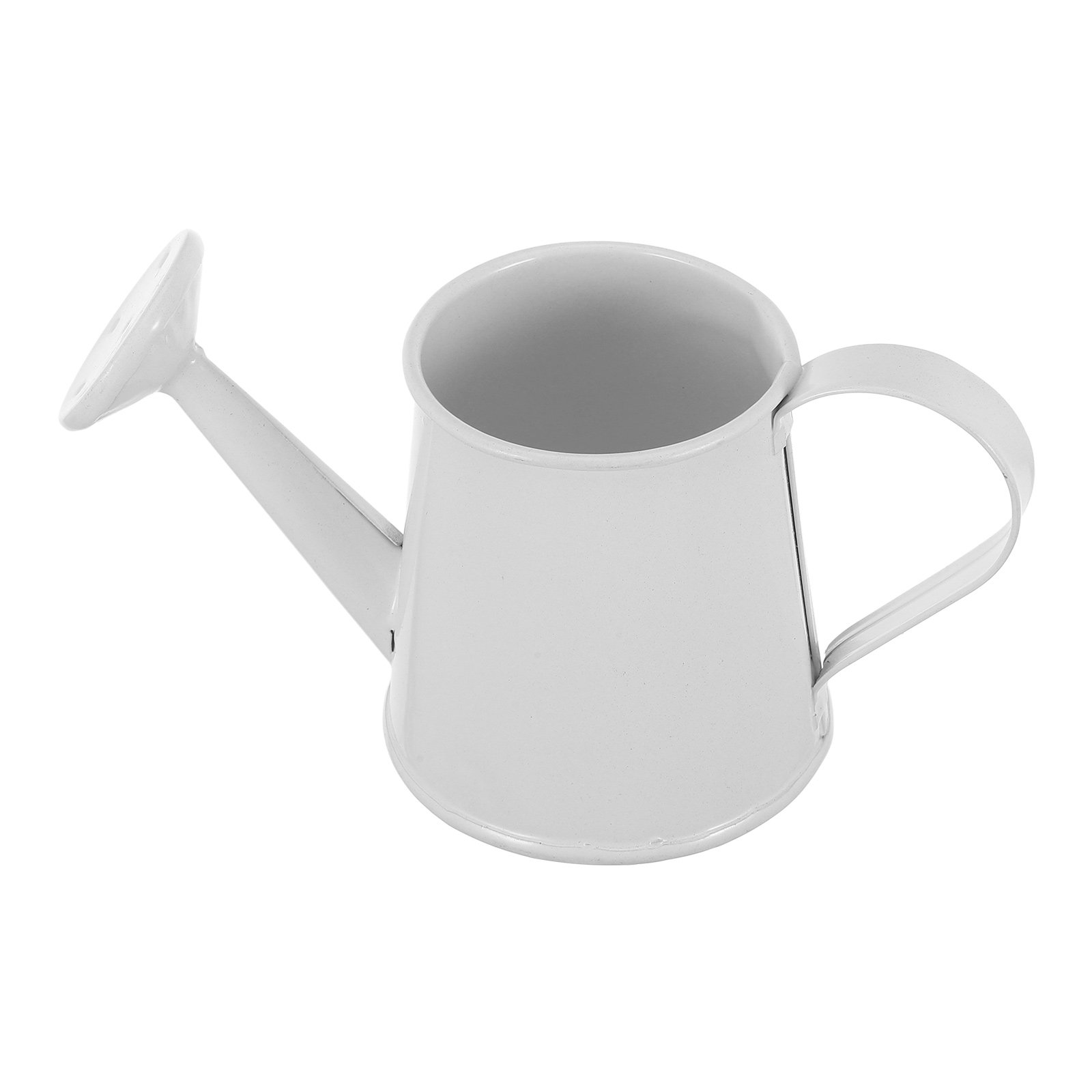 Sukulentler için Mini Demir Su - Watering Can incelemesi ve fiyatı