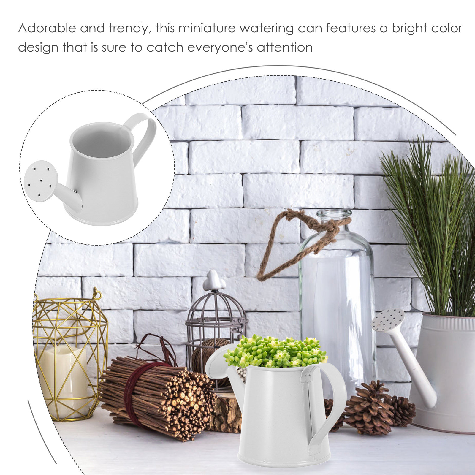 Sukulentler için Mini Demir Su - Watering Can incelemesi ve fiyatı