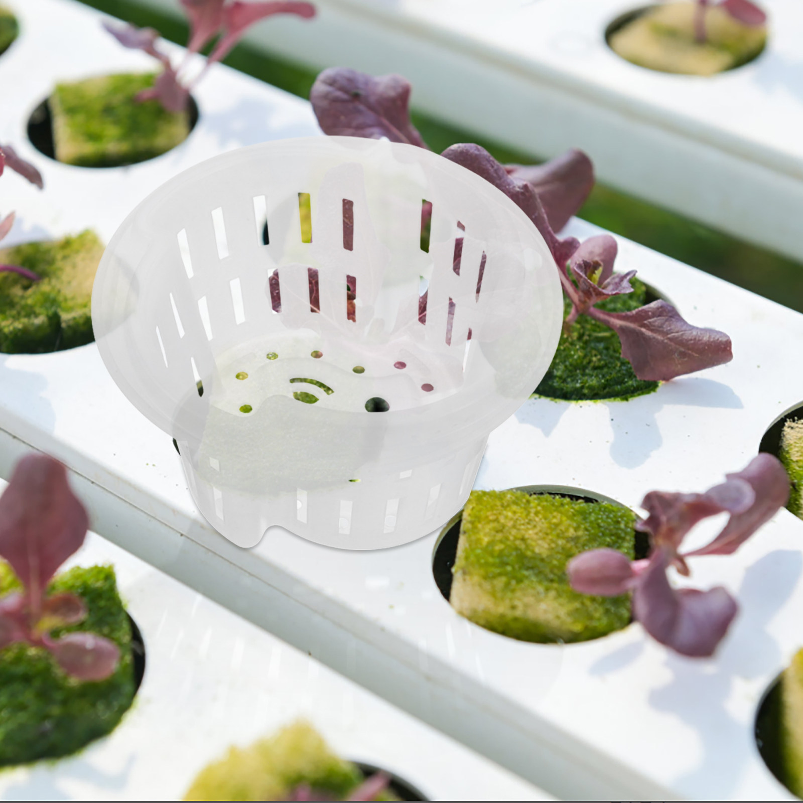 4 Adet Hidroponik Bitki Yetişt - Plant Pot incelemesi ve fiyatı